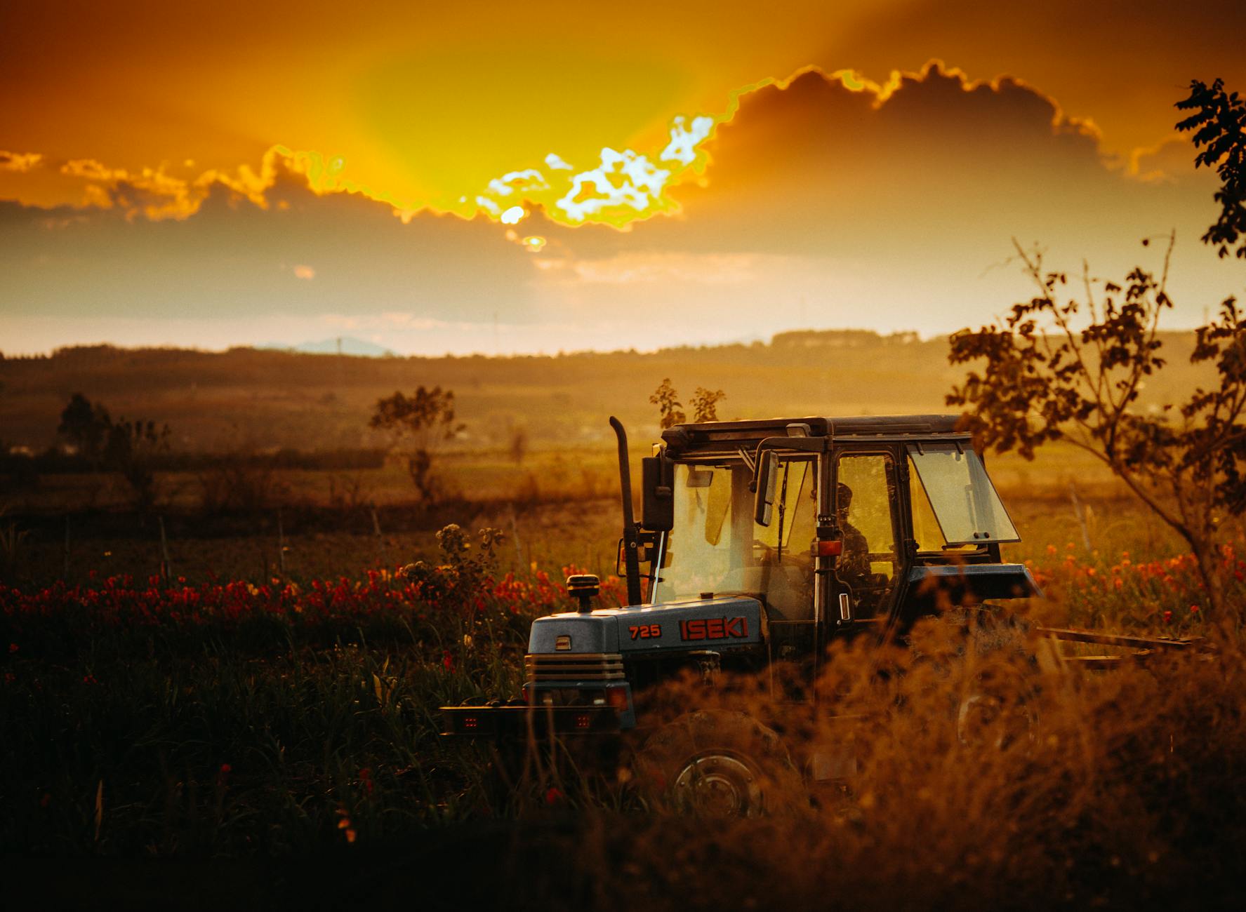 Trator no campo ao por do sol representando consorcio de maquinas agricolas