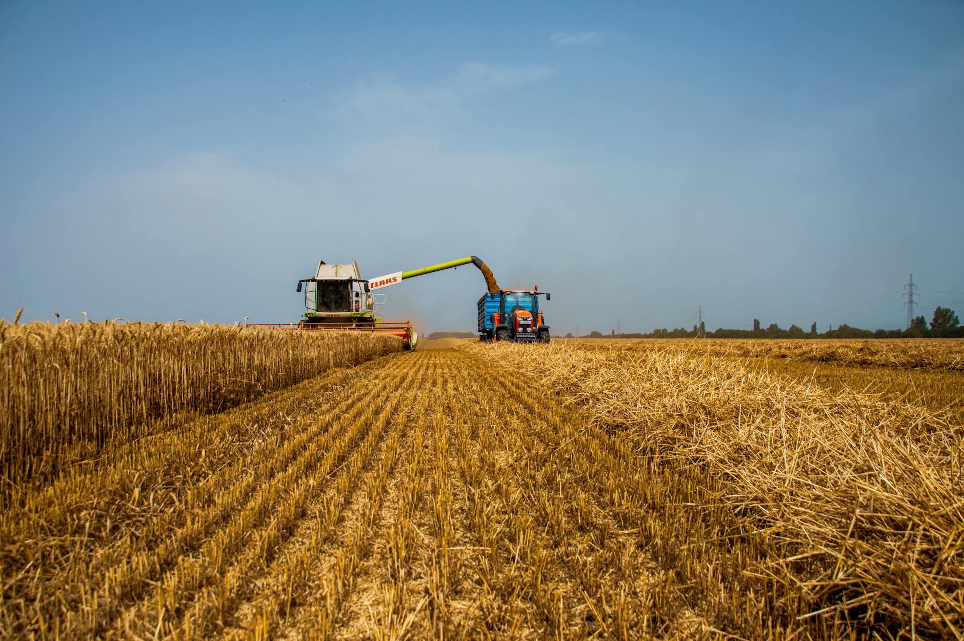 Colheitadeira operando durante a safra em lavoura de graos no Brasil